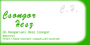 csongor hesz business card